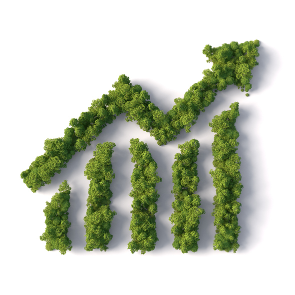 RICS Sustainability Report 2021