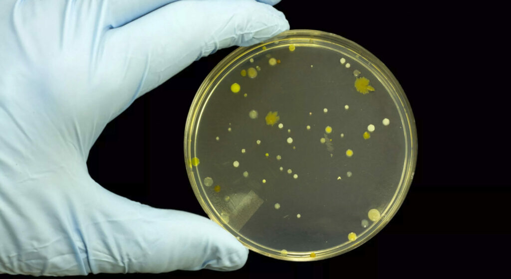 R-Zero and Science-Backed Efficacy