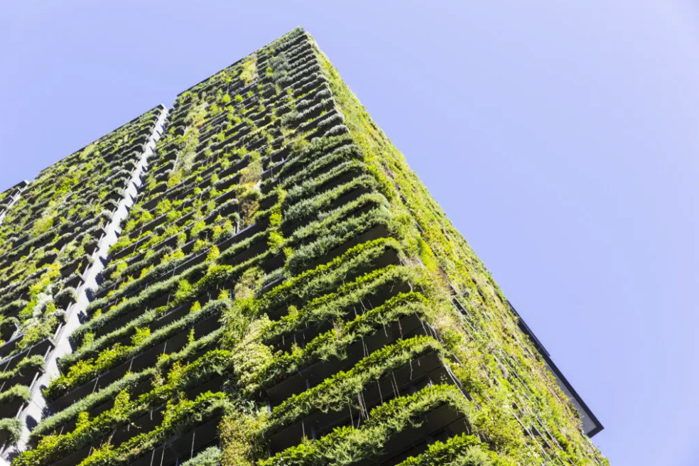 How sustainability can differentiate your brand and increase commercial building value