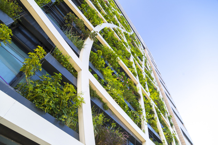 Sustainability How-To Guide: Sustainable Landscaping