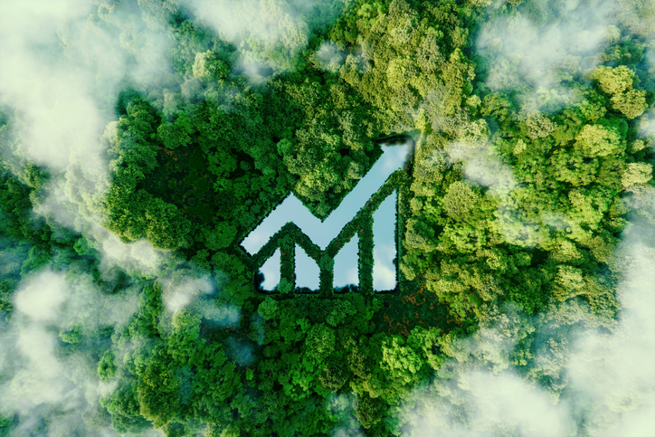 Two Shades of Green: Balancing Sustainability and Savings